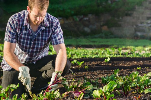 Worker handling labelled garden chemicals with gloves