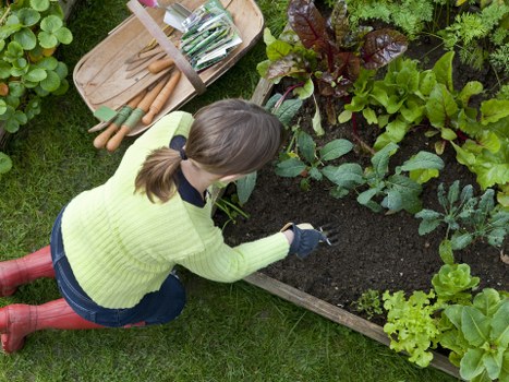 A woman with brown hair tied back, wearing a light green sweater, dark blue jeans, and red waterproof boots, is kneeling on a well-maintained grassy lawn while tending to a raised garden bed. She is using her gloved hands to plant or weed in the dark, rich soil of the garden bed, which is bordered by wooden planks. The garden contains a variety of leafy green vegetables and herbs, with some plants showing deep purple and bright green foliage. Nearby, there is a wooden tray or container holding gardening tools and supplies, including small hand tools and plant markers, suggesting a gardening activity in a residential outdoor space. The environment appears lush and well-kept, with the garden arrayed in a neat, organized layout, and the scene is lit by natural daylight, indicating clear weather. This setting reflects typical garden maintenance and planting practices common in London neighborhoods, aligning with services offered by Garden Maintenance Elephant and Castle.