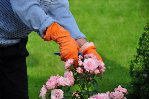 Policy document symbol with Garden Maintenance Elephant and Castle branding