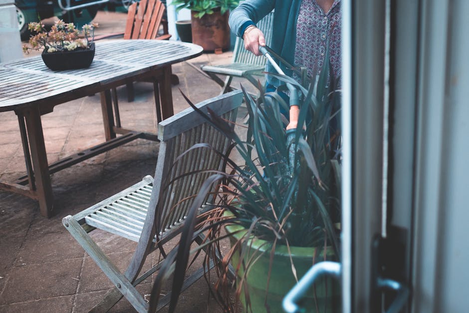 A gardener is performing garden maintenance on an outdoor patio area, using shears to trim a large potted plant with long, dark green leaves. The scene includes a wooden garden table with a bowl of su
