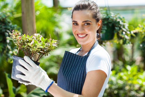 Garden tools and plants